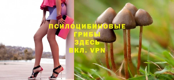 ПСИЛОЦИБИНОВЫЕ ГРИБЫ Арсеньев