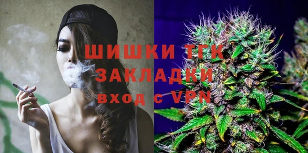 ПСИЛОЦИБИНОВЫЕ ГРИБЫ Арсеньев