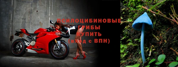 ПСИЛОЦИБИНОВЫЕ ГРИБЫ Арсеньев