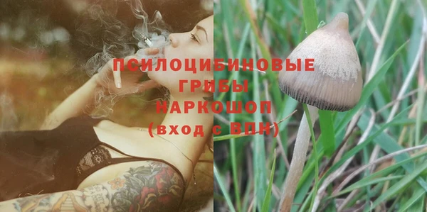трава Протвино